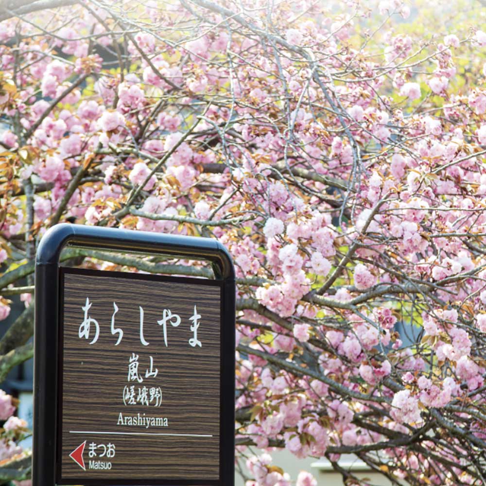 [오사카/금토일운행] 교토 나라 사슴공원 동대사N아라시야마N청수사 1일 버스투어 유투어버스