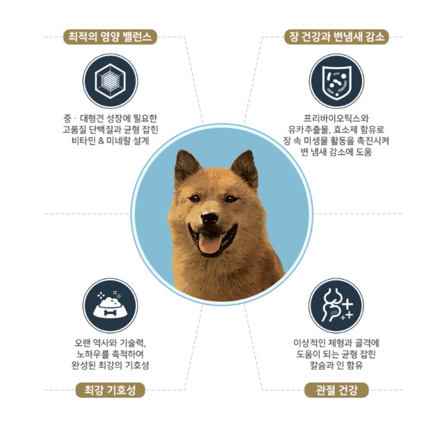 강아지가 좋아하는 도그랑 진도 골드 10kg - 상세 이미지 2