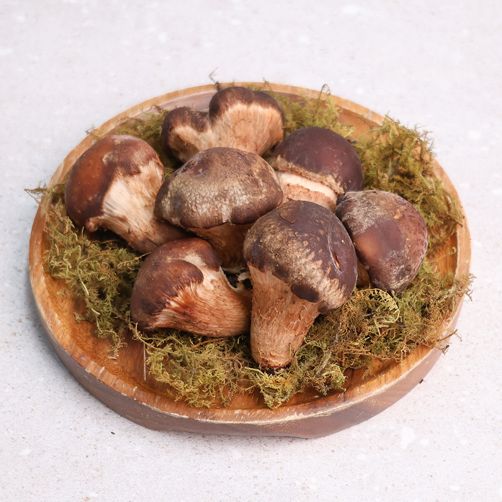 오늘신선 산지직송 무농약 참송이버섯 가정용/정품(500g,700g,1kg) 선물세트 - 상세 이미지 3