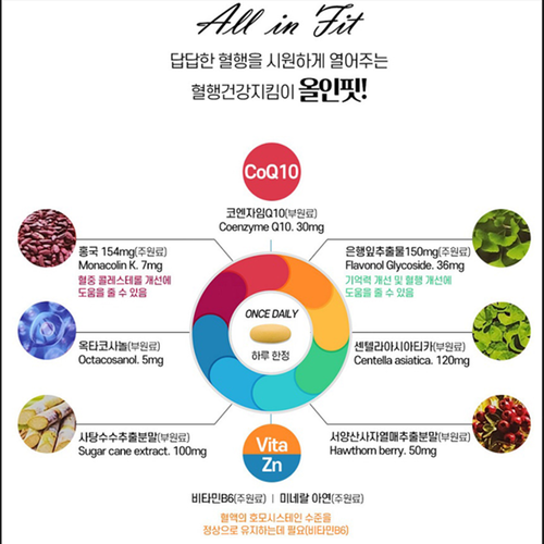 부광메디카 올인핏 60정 1박스 2개월 은행잎추출물 홍국 혈행 콜레스테롤 기억력 두뇌 - 상세 이미지 3