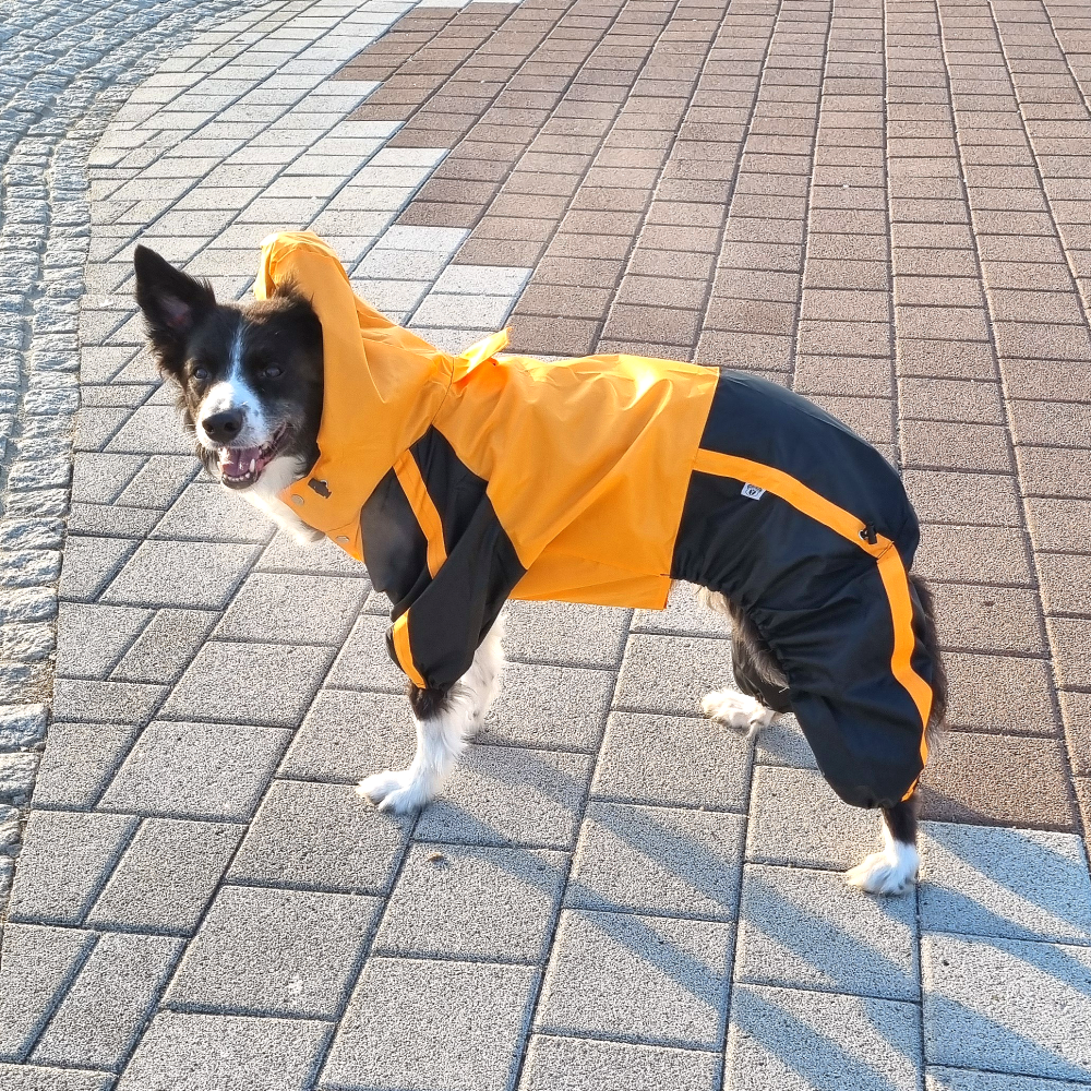 위드레오 강아지 올인원 우비 대형견우비 애견비옷 진돗개우비 주황색 L-XS