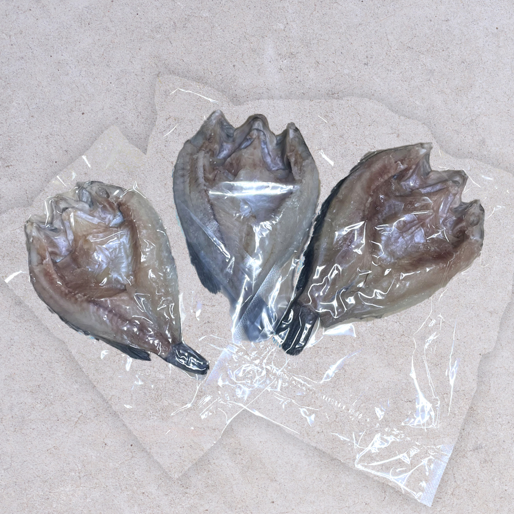 자연산 반건조 우럭 1.5kg 말린우럭포 10마리 제수용 생선구이 매운탕용 건우럭 볼락 - 상세 이미지 4