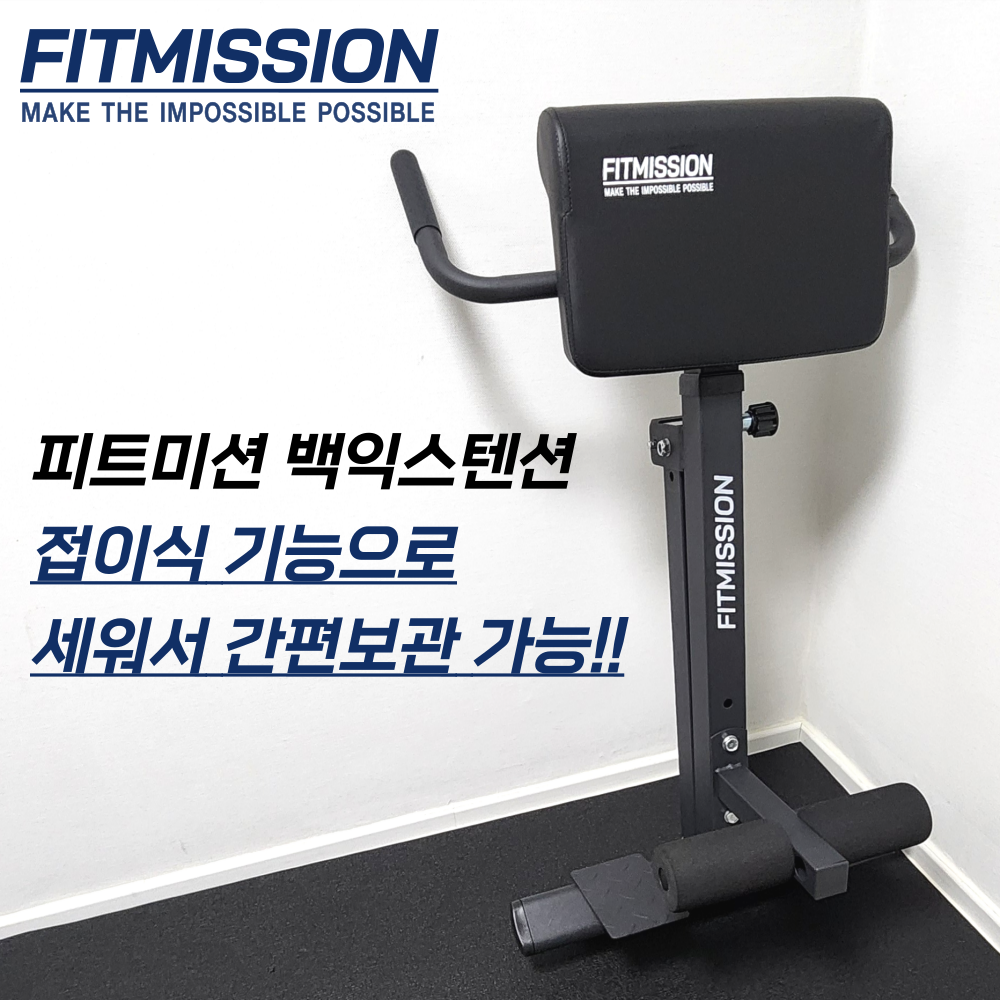 피트미션 백익스텐션 로만체어 로망체어 - 상세 이미지 3