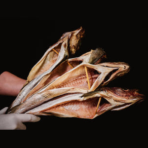바다우체국 깔끔이 반건조 코다리 깨끗하게 잘 말린 손질 코다리 10/8/... 맛있게 먹은 솔직 후기 - 상품 이미지 4