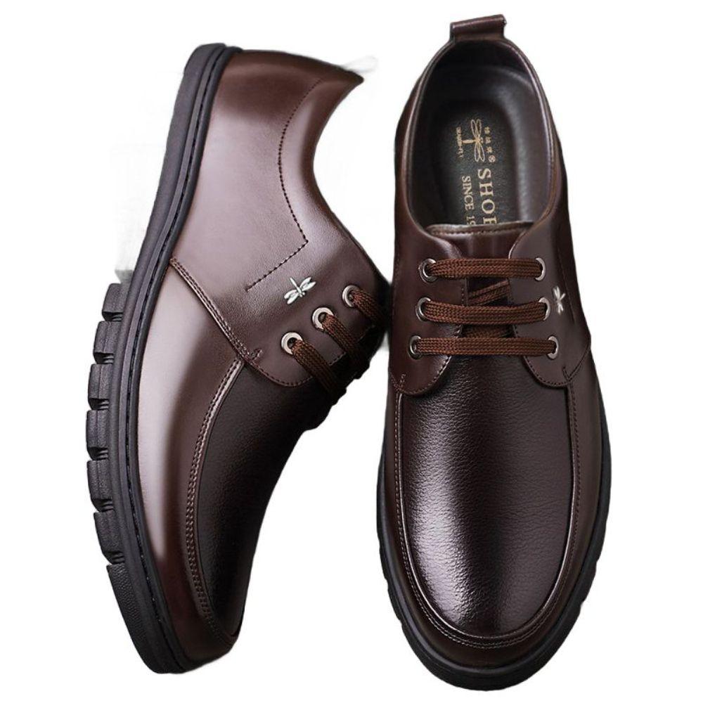 중장년 아빠 봄 비즈니스 아빠룩 긴팔 신발 정장 가죽 봄여름 얇은 브라운싱글슈즈 37 - 상품 이미지