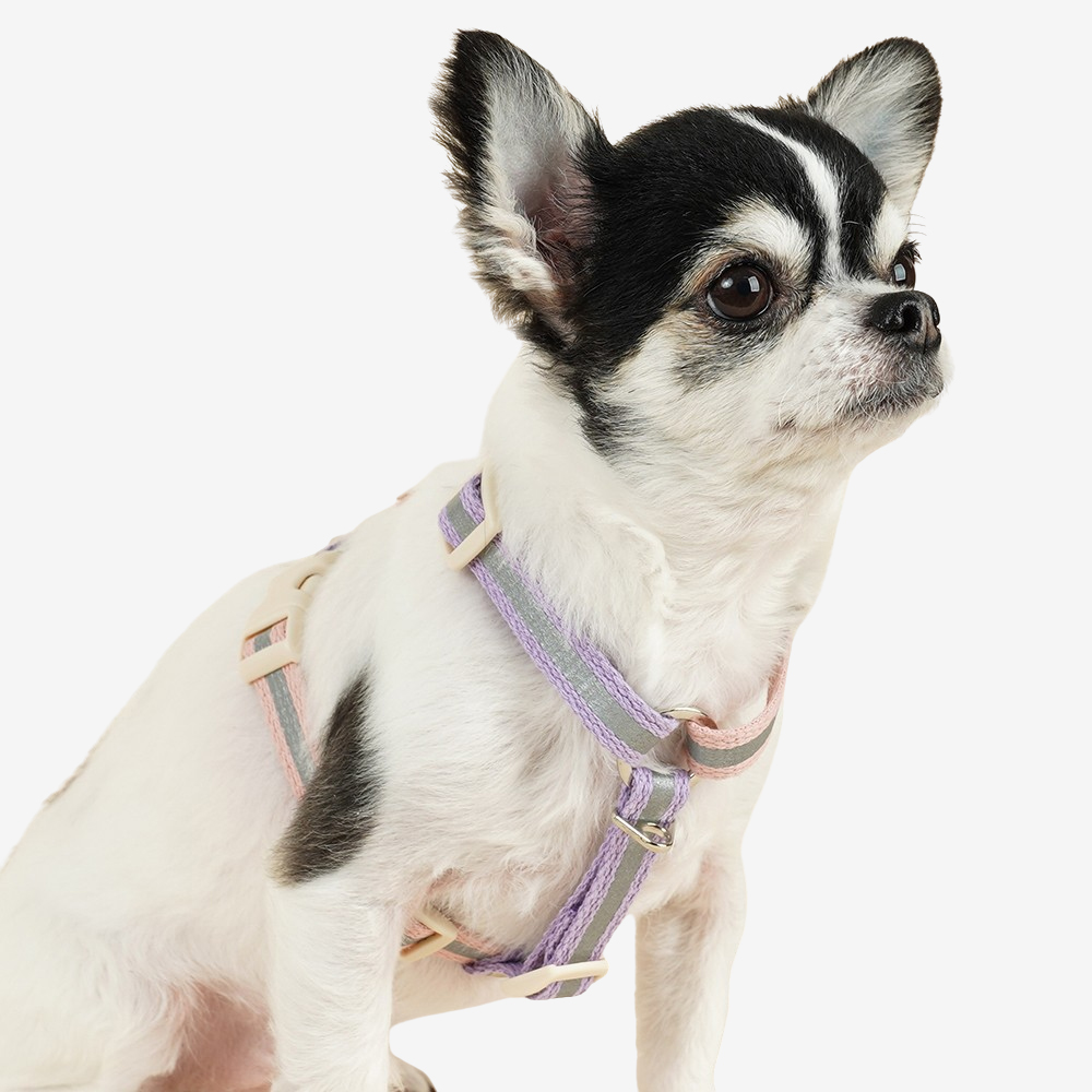 이름각인 야간반사 앞섬방지 H형 강아지 하네스 가슴줄