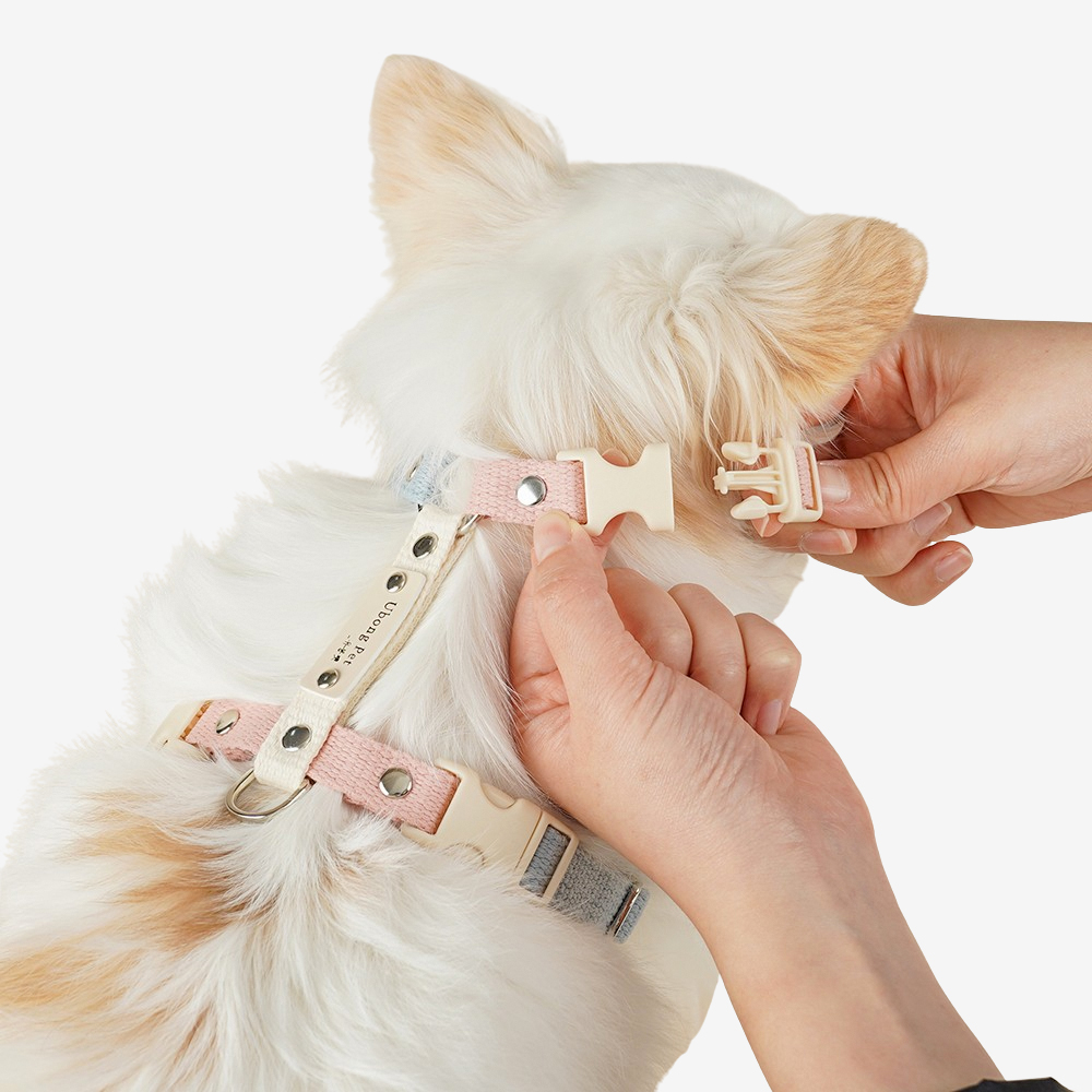 앞섬방지 H형 가슴줄 강아지 순면 인식표 하네스 버클형