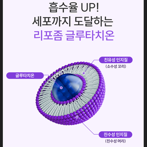 비웰 리포좀 L 글루타치온 비타민C 스틱 30포 2박스 인지질코팅 콜라겐 히알루론산 효능 - 상세 이미지 5