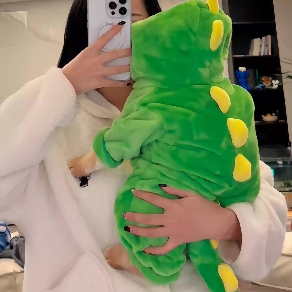 고양이 공룡옷 겨울 동물 따뜻한 반려동물 옷 후드 강아지 애완견 애완 의상 - 상세 이미지 3
