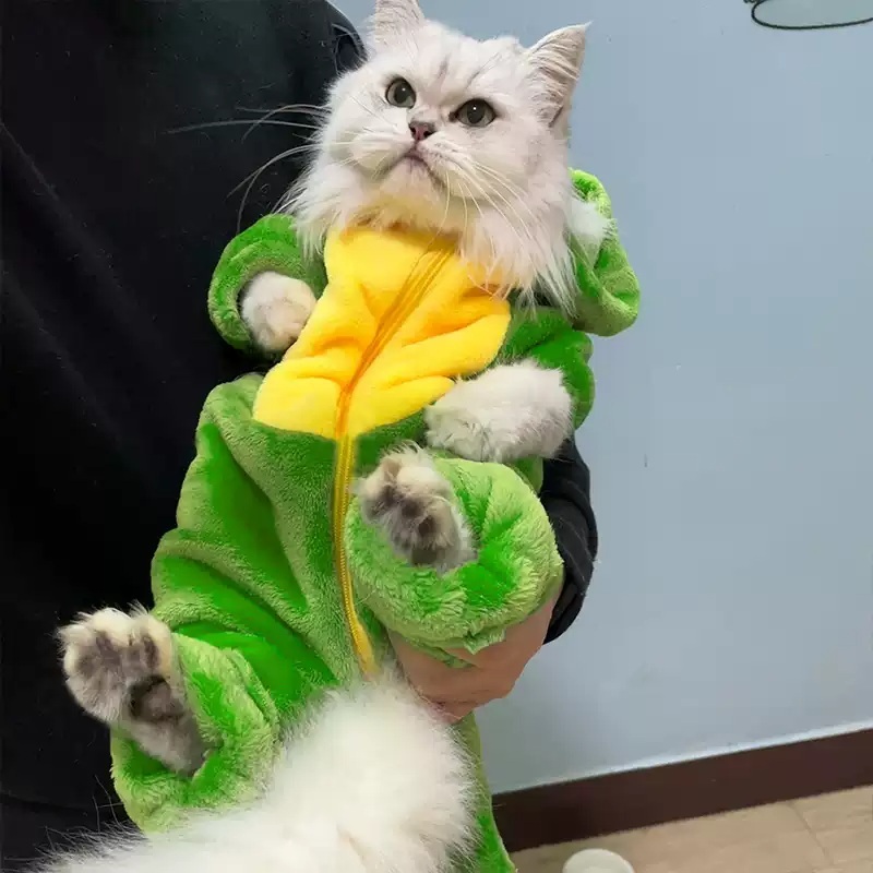 고양이 공룡옷 겨울 동물 따뜻한 반려동물 옷 후드 강아지 애완견 애완 의상 - 상세 이미지 2
