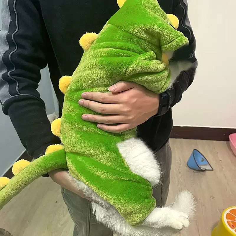 고양이 공룡옷 겨울 동물 따뜻한 반려동물 옷 후드 강아지 애완견 애완 의상 - 상세 이미지 5