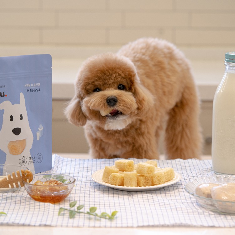 잇츄 소프트 100g 2+2 부드러운 강아지 간식 말랑한 노견 덴탈껌