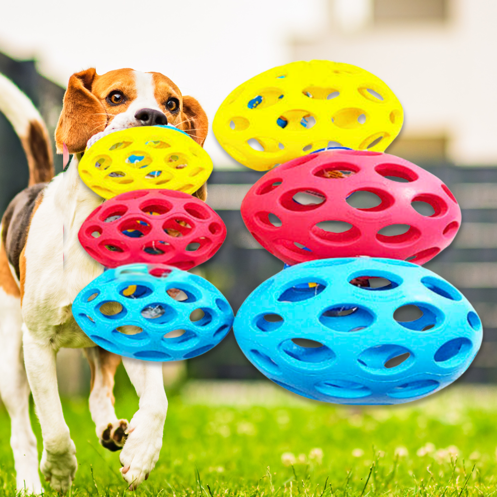 JW 홀리풋볼 강아지 장난감 노즈워크볼 반려견공놀이 애견용품 중형견 대형견