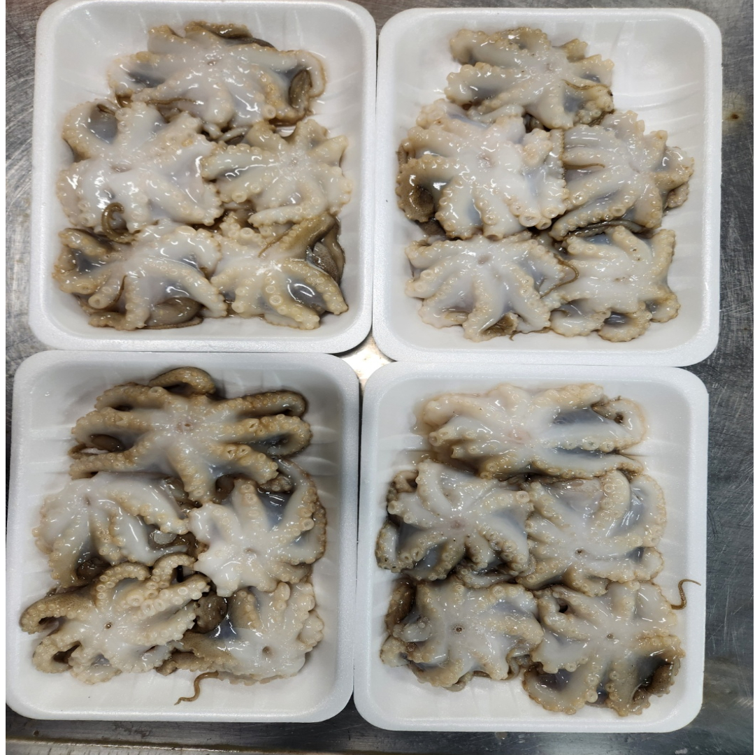 완전손질 자연산 냉동 왕쭈꾸미 1+1(350g 2 팩)깔끔용기진공포장 - 상세 이미지 4