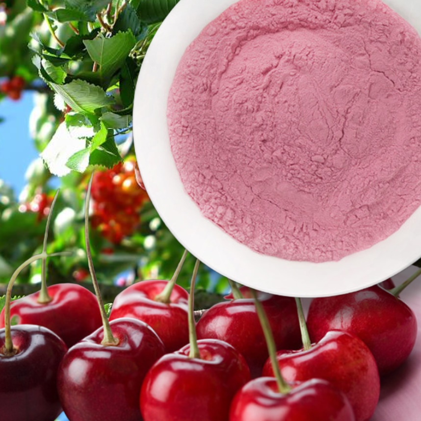 타트 체리 효능 가루 500g 추출물 타르트체리 분말 파우더