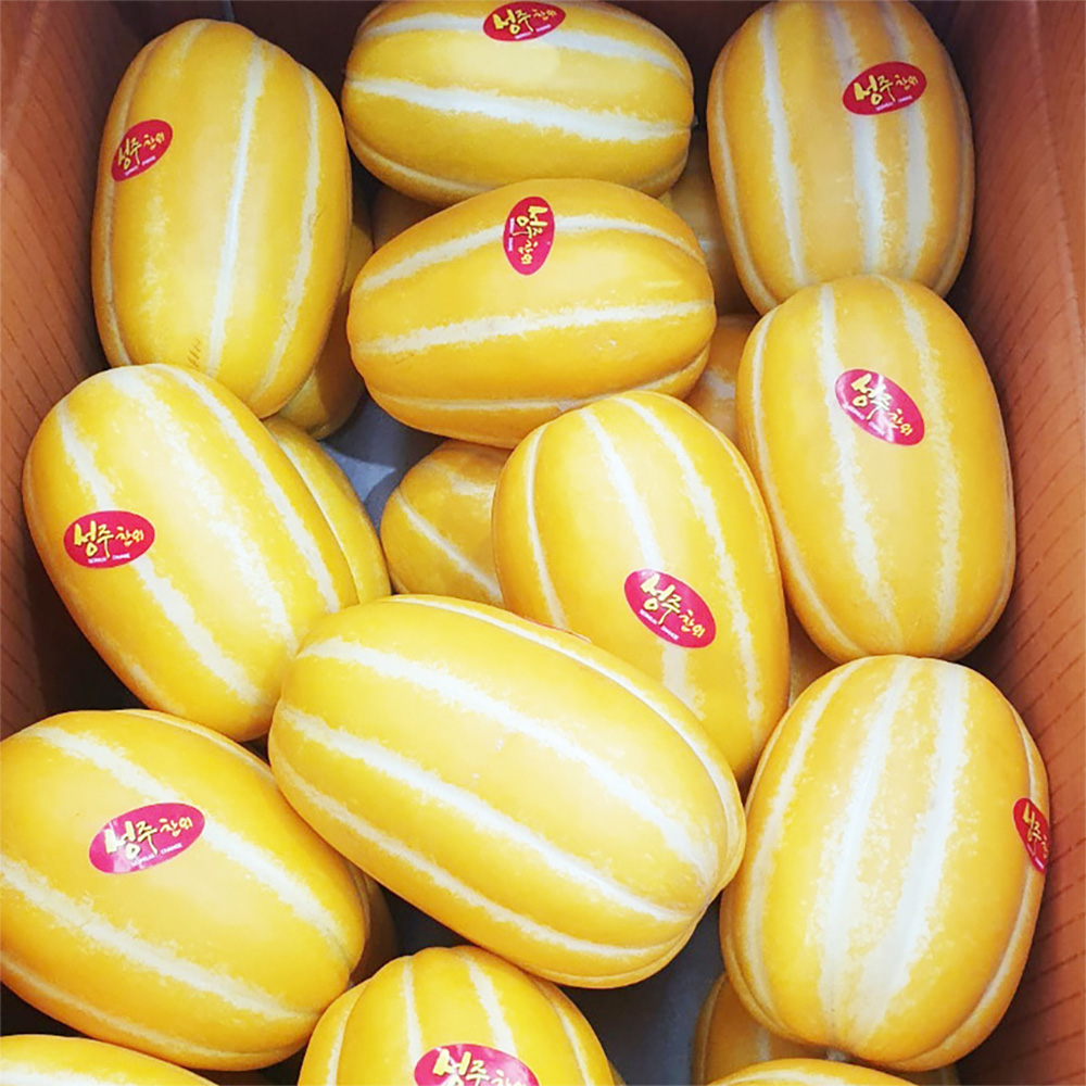 복수구매할인 성주 참외 못난이 가정용 경북성주 고당도 꿀참외 산지직송 1kg, 1개 - 상세 이미지 3