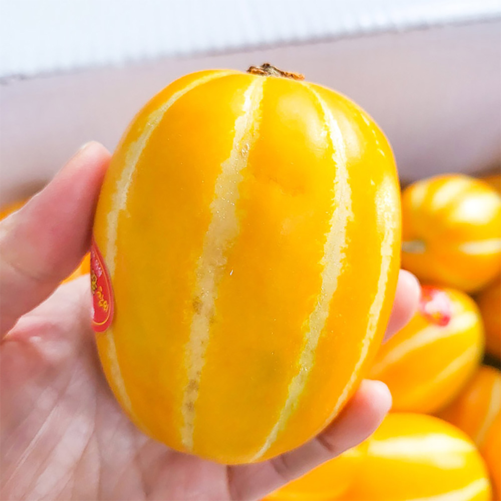 복수구매할인 성주 참외 못난이 가정용 경북성주 고당도 꿀참외 산지직송 2kg, 1개