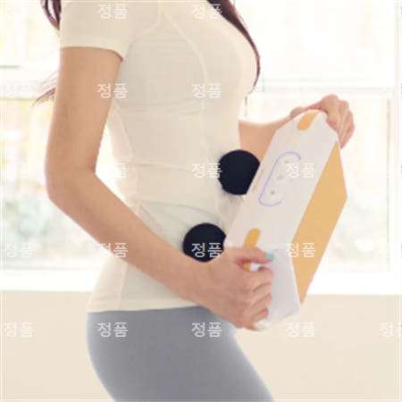 프로바디플러스 마사지건(골드) MDM-303