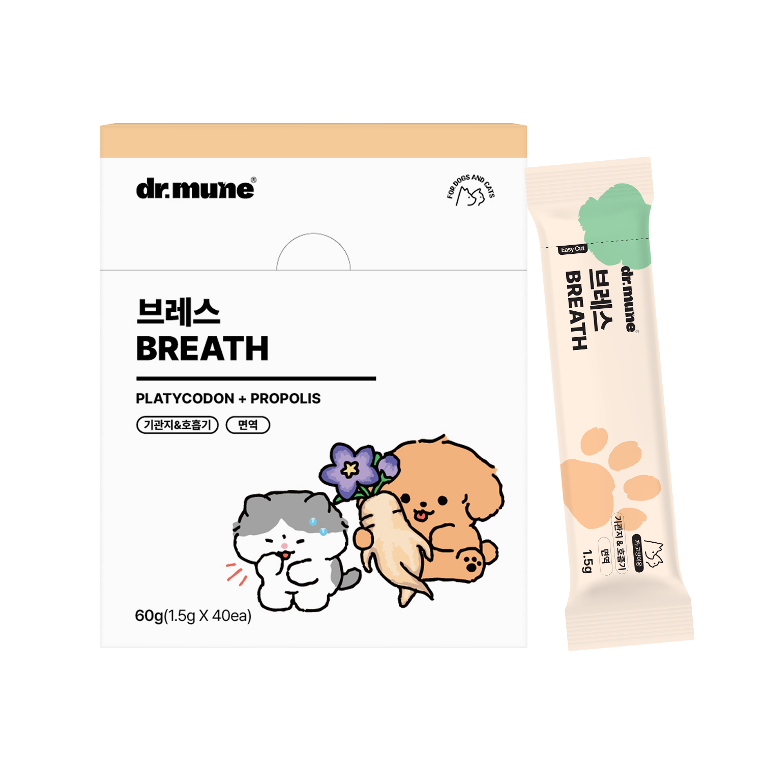 닥터뮨 브레스 강아지 고양이 기관지 영양제 켁켁 기침 호흡기 40p - 메인 이미지