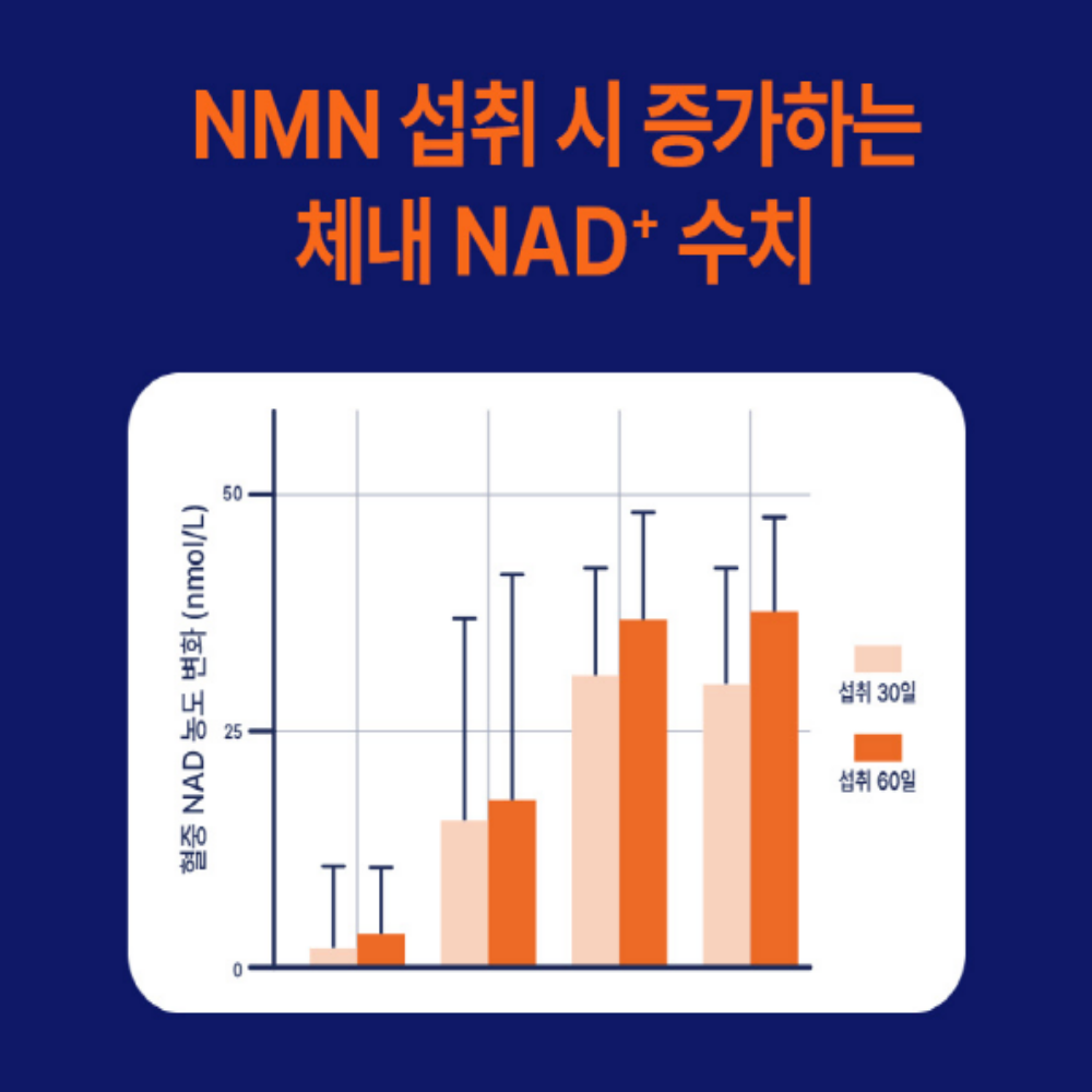 일양약품 NMN 엔엠엔 파이토 K - 상세 이미지 4