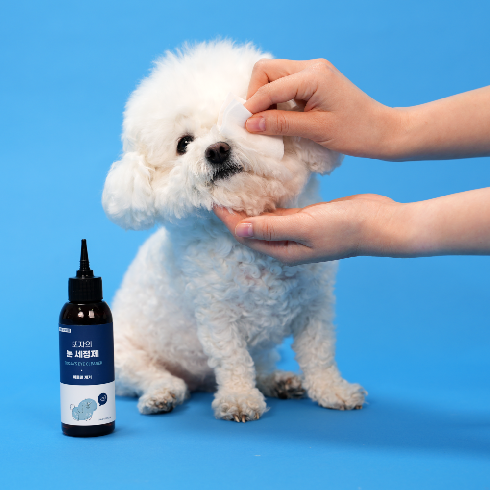 또자 눈세정제 강아지 안구세정 눈꼽 눈곱 눈물냄새 이물질 제거 아이클리너 120ml, 3개 - 상세 이미지 2