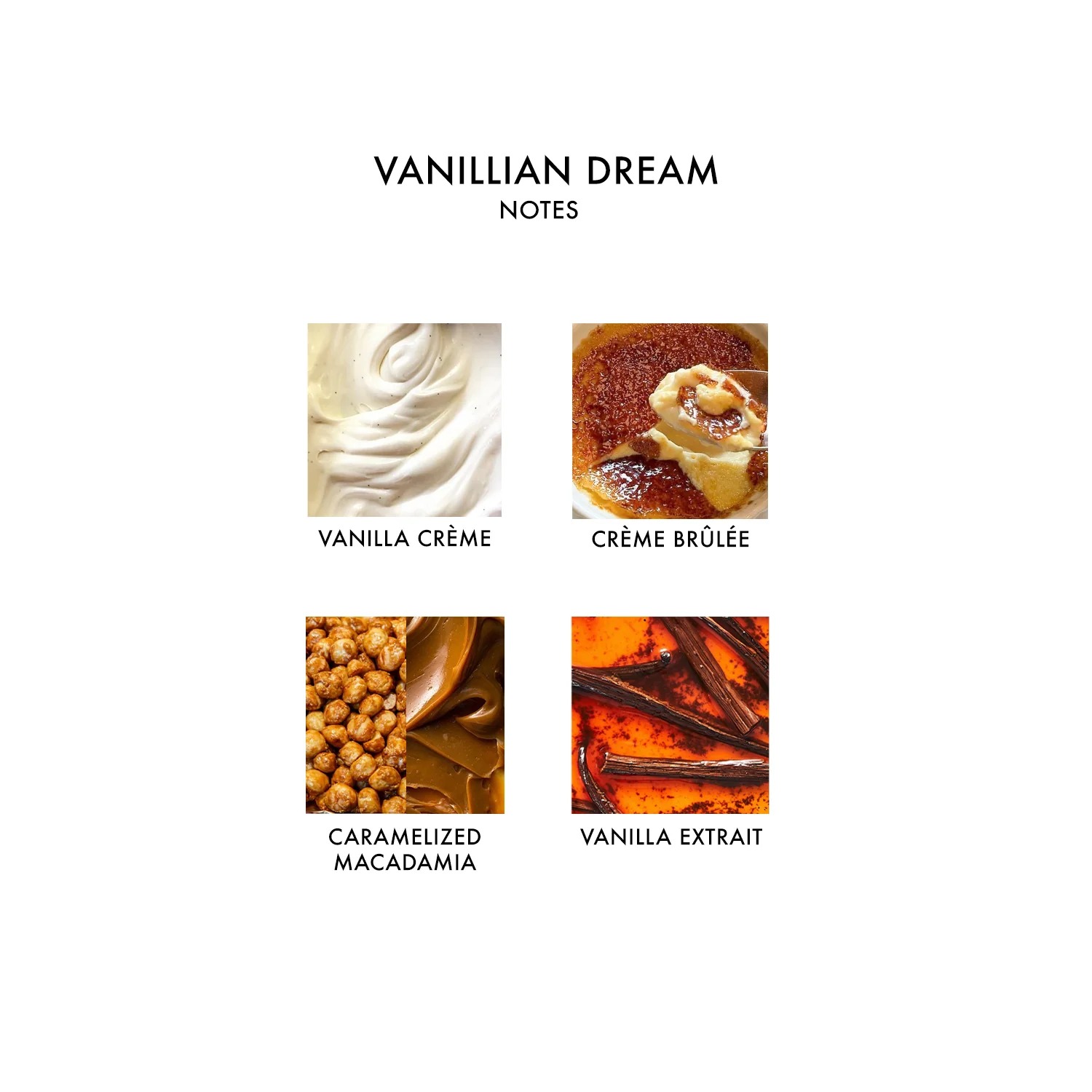 edible fragrance vanillian dream 바닐리안 드림 바닐라 크렘브륄레 향수 - 상세 이미지 3