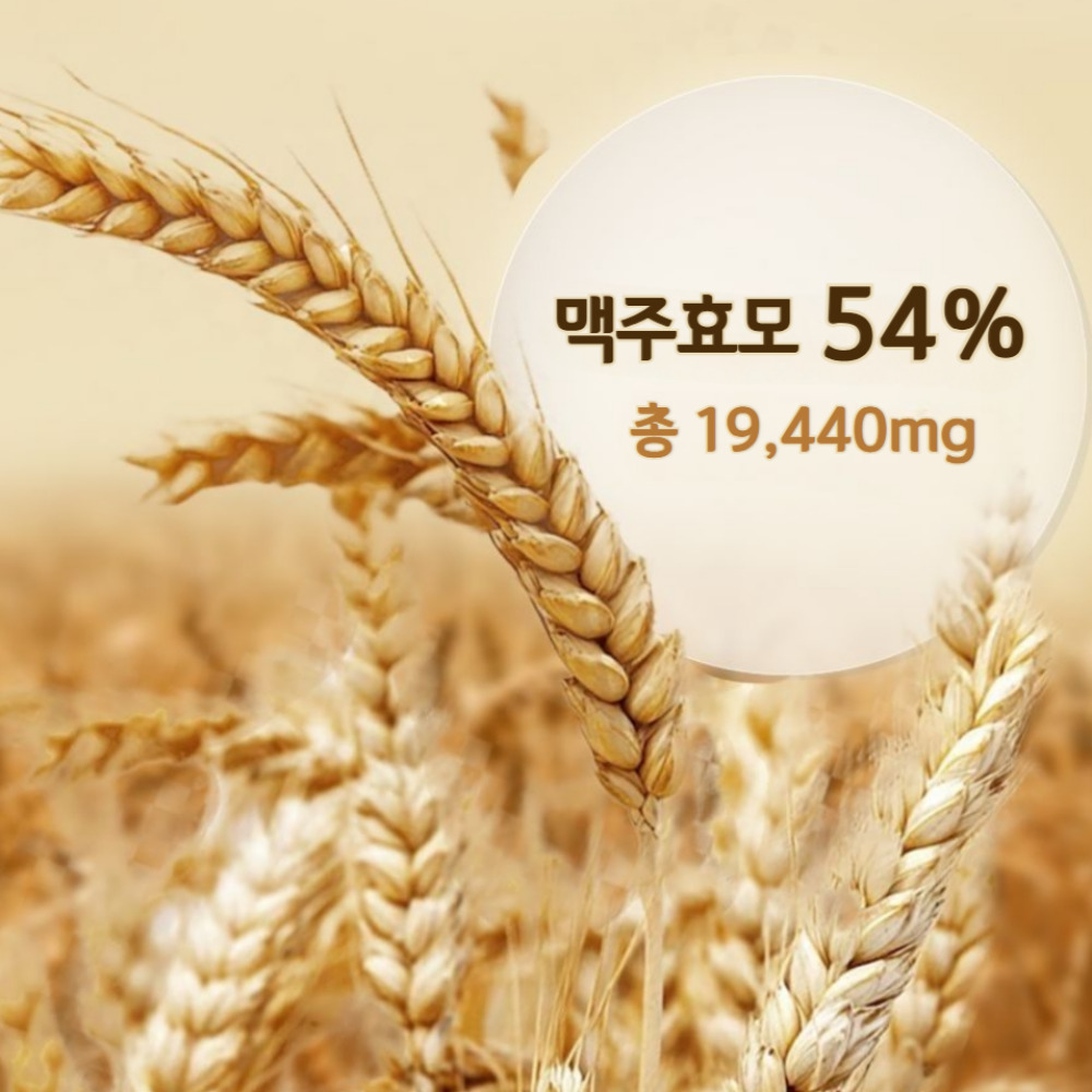 1+1 그린디 비오틴 고함량 독일산 맥주효모 프랑스산 비오틴