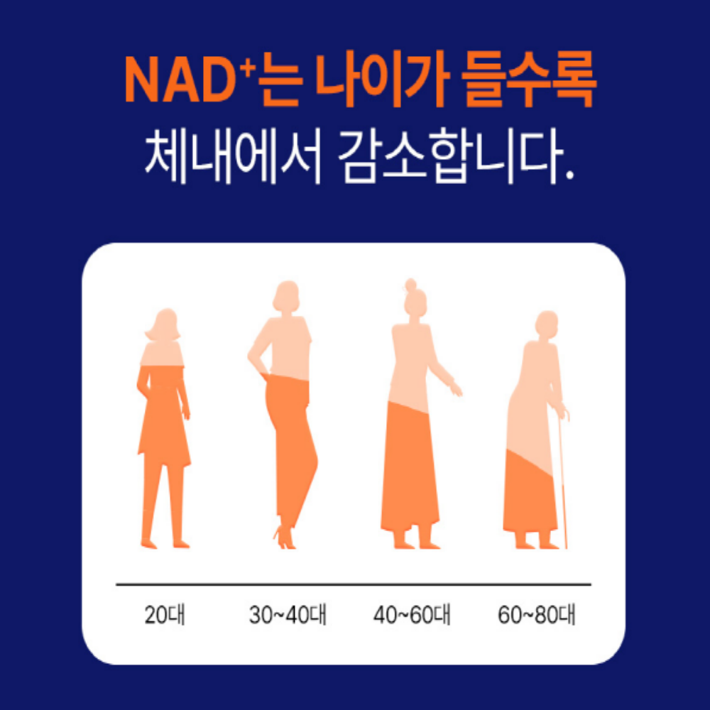 일양약품 NMN 엔엠엔 파이토 K - 상세 이미지 3