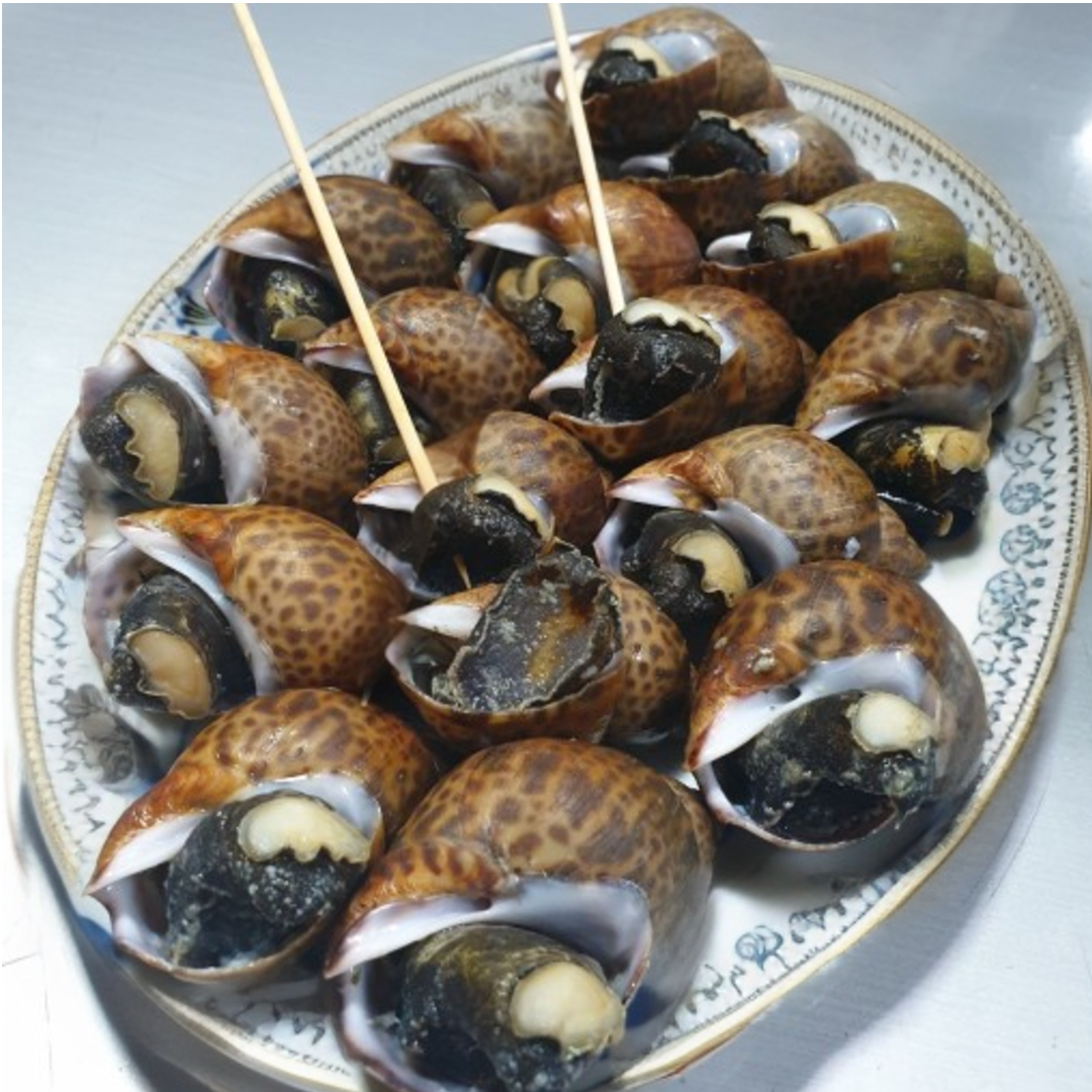 완전손질 바로먹는 고동 별미 자숙 범고동 골뱅이 1+1(500g+500g) - 상세 이미지 5