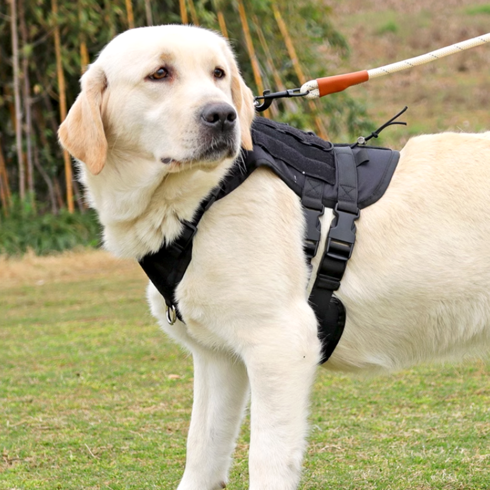 강아지 하네스 가슴줄 대형견 하네스 앞섬방지 중형견 진돗개 하네스 D형 쓰리라인