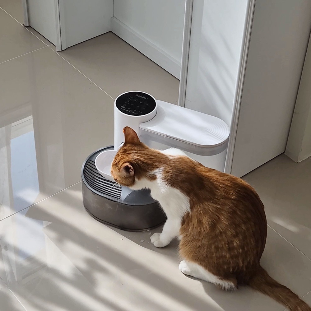 보니렌 퓨어냥 고양이 정수기 강아지정수기 고양이 음수대 자동급수기