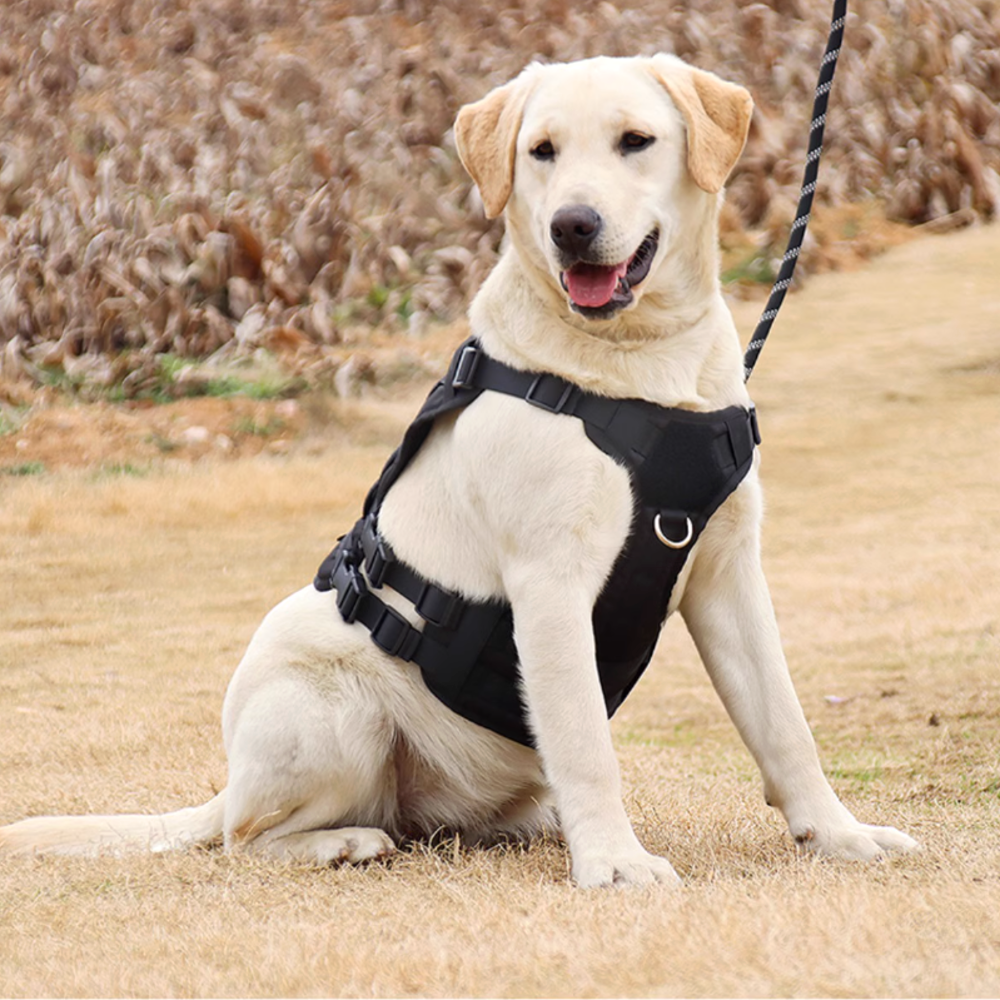 강아지 하네스 가슴줄 대형견 하네스 앞섬방지 중형견 진돗개 하네스 D형 쓰리라인