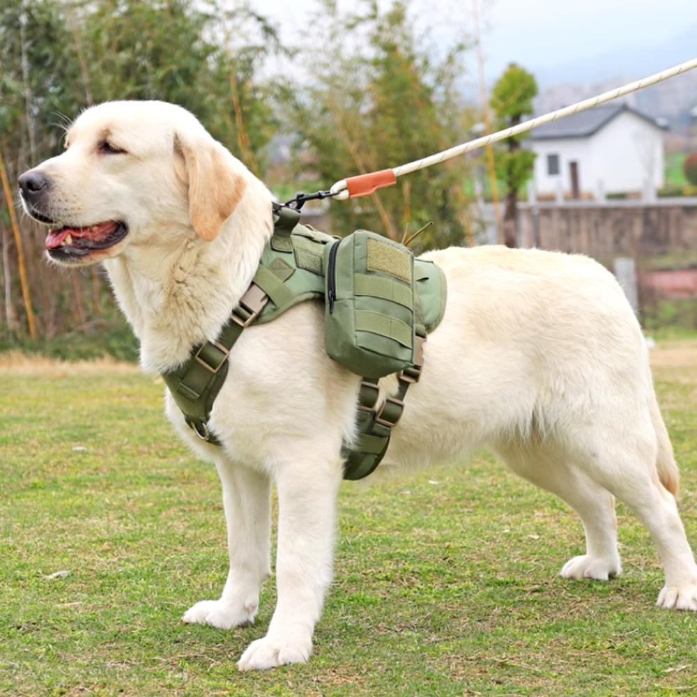 강아지 하네스 가슴줄 대형견 하네스 앞섬방지 중형견 진돗개 하네스 D형 쓰리라인
