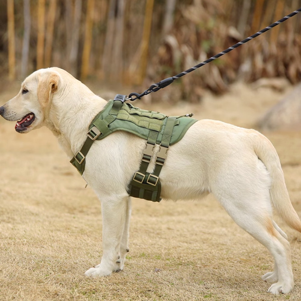 강아지 하네스 가슴줄 대형견 하네스 앞섬방지 중형견 진돗개 하네스 D형 쓰리라인
