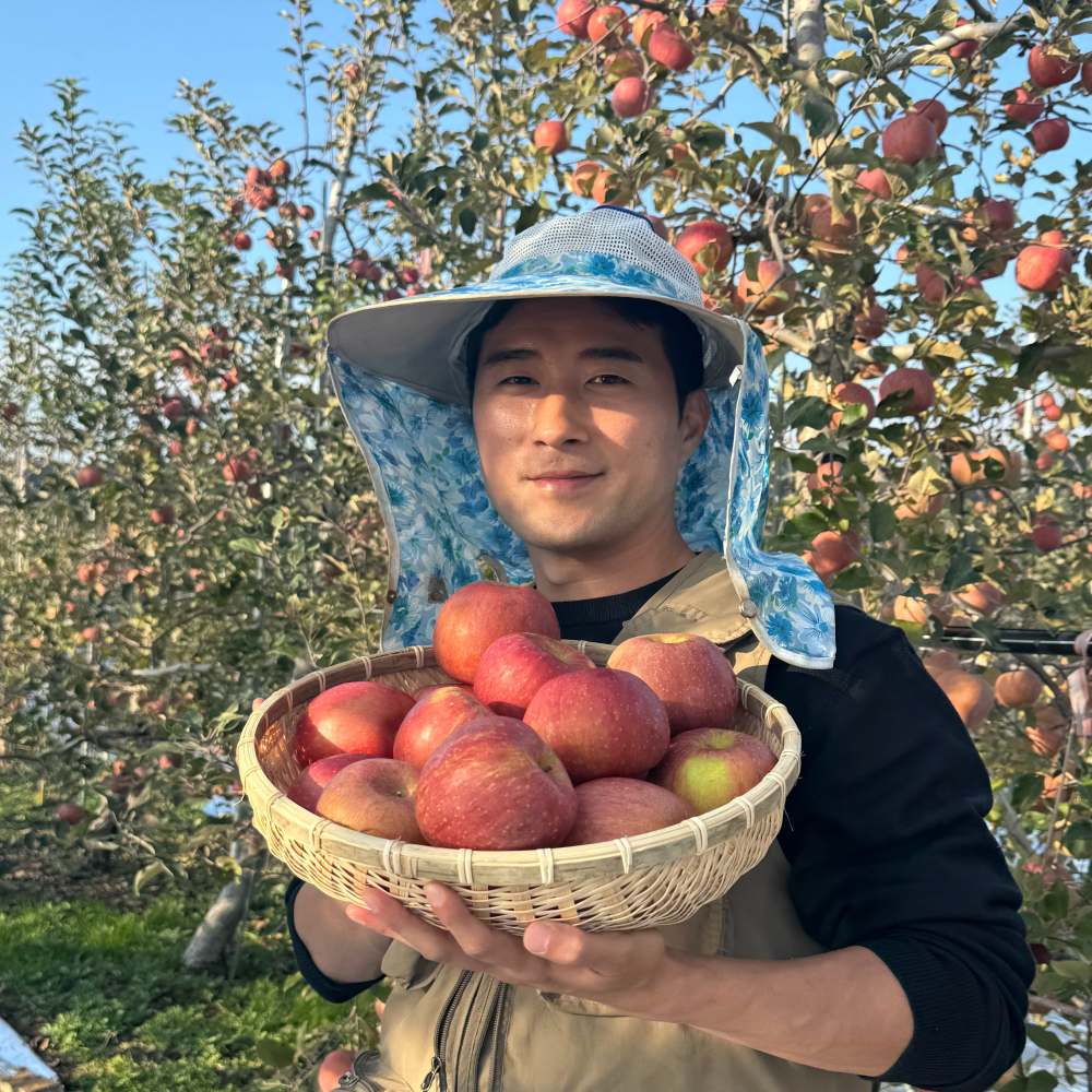 청송 문경 얼음골사과 못난이 부사 유명한곳 5kg 10kg - 상품 이미지