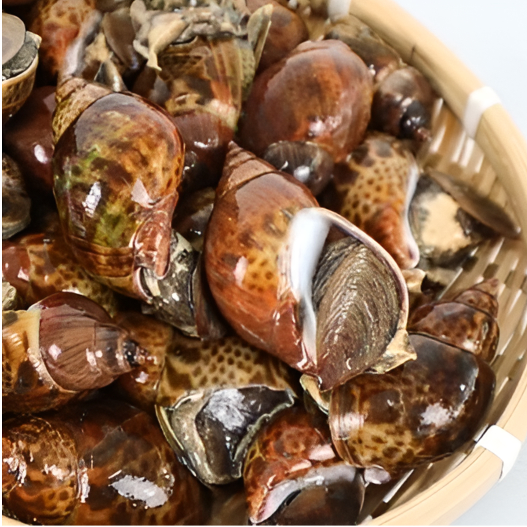 완전손질 바로먹는 고동 별미 자숙 범고동 골뱅이 1+1(500g+500g) - 상세 이미지 2