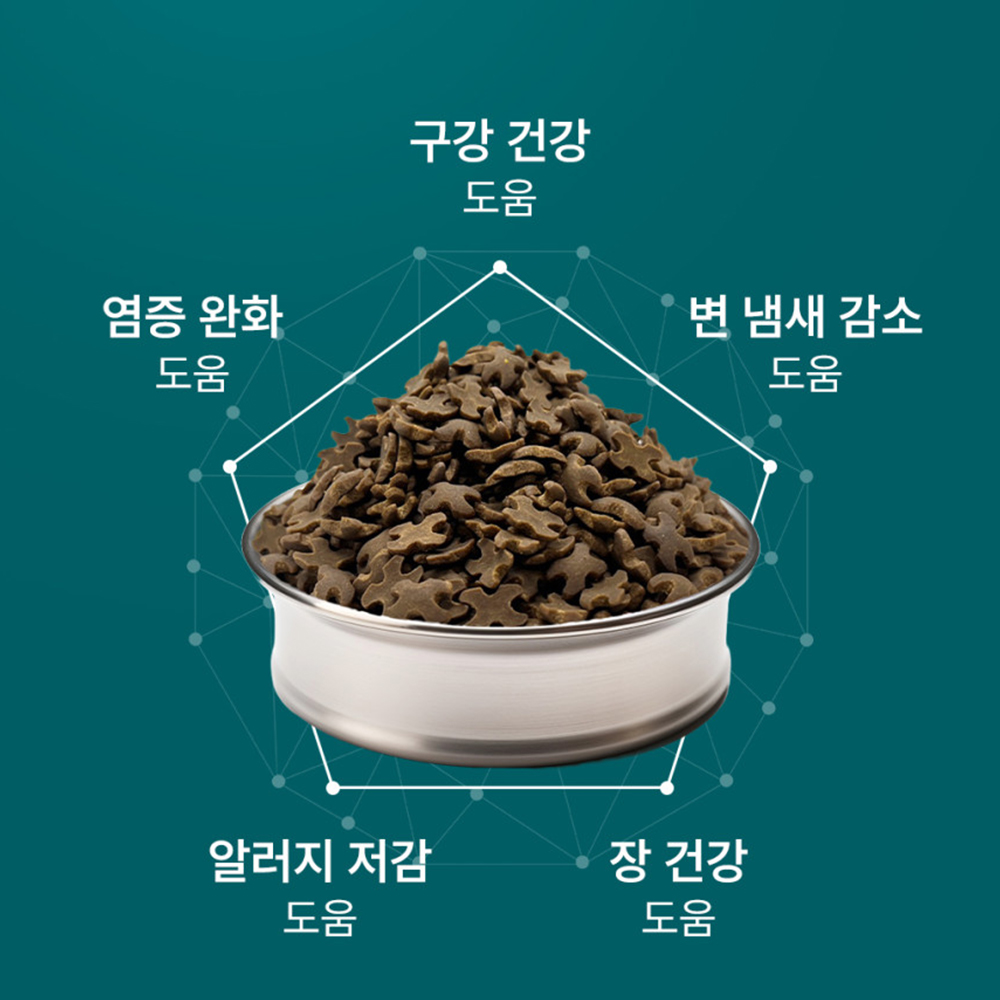 베노독 덴탈 구강건강 가수분해 오리 애견 강아지 사료 1.8kg + 삑삑이 장난감 이미지 8