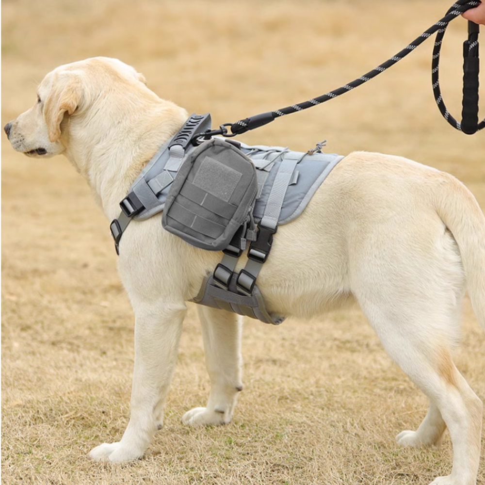 강아지 하네스 가슴줄 대형견 하네스 앞섬방지 중형견 진돗개 하네스 D형 쓰리라인