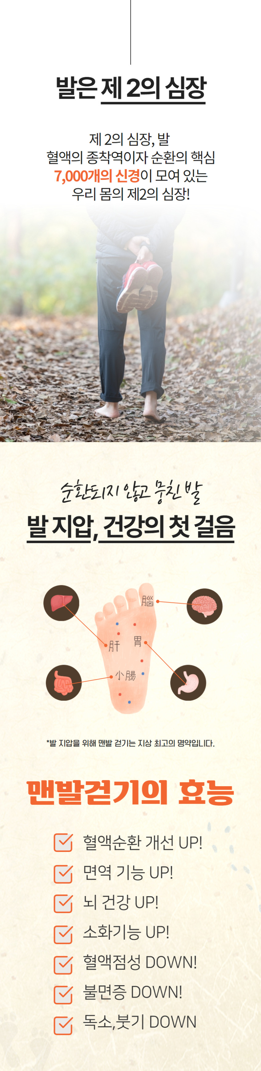 왓스업 PM12 편백나무 황토볼 발 마사지 발바닥마사지기 맨발걷기 중사이즈 3Kg 판매처 상세 정보 이미지 3