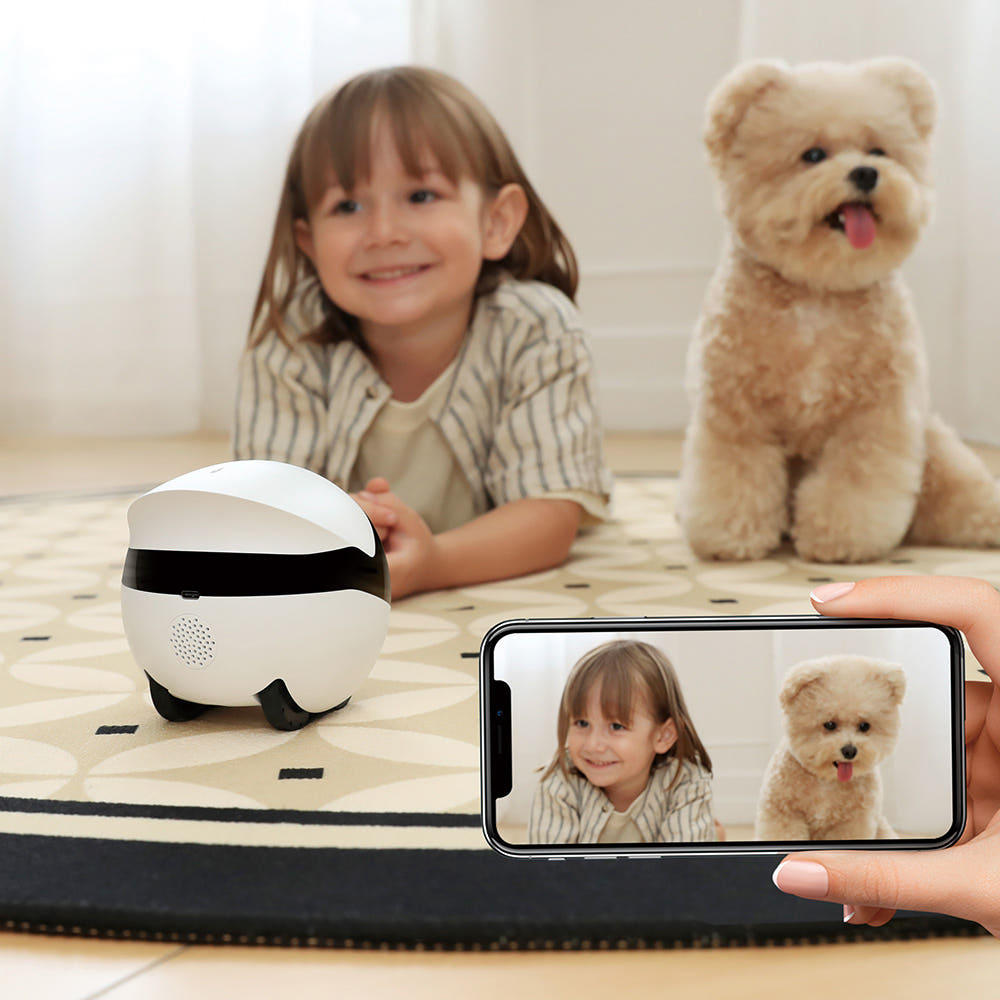 롤라미니 로봇 카메라 작동 모습