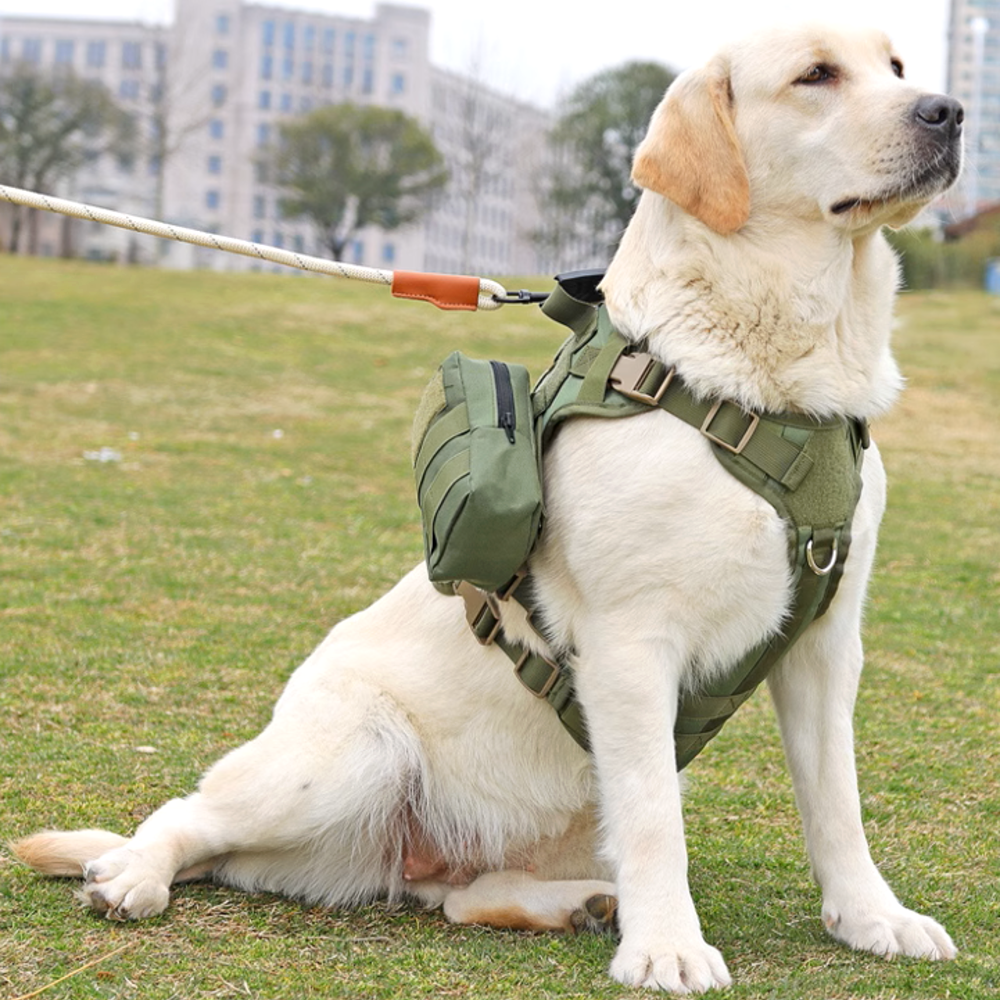 강아지 하네스 가슴줄 대형견 하네스 앞섬방지 중형견 진돗개 하네스 D형 쓰리라인