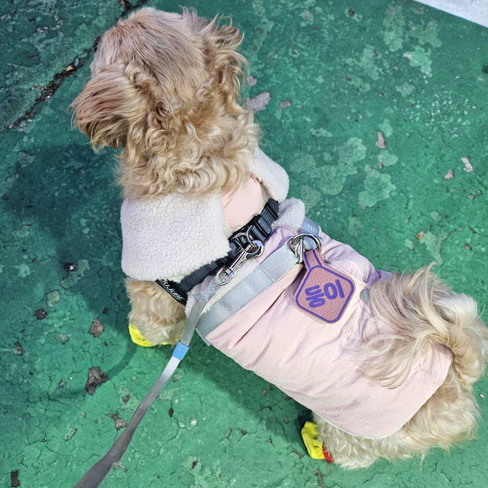 (소형)강아지 네임택 강아지 인식표 전사네임택 이름표 반려견 명찰 마름모형 - 상세 이미지 5