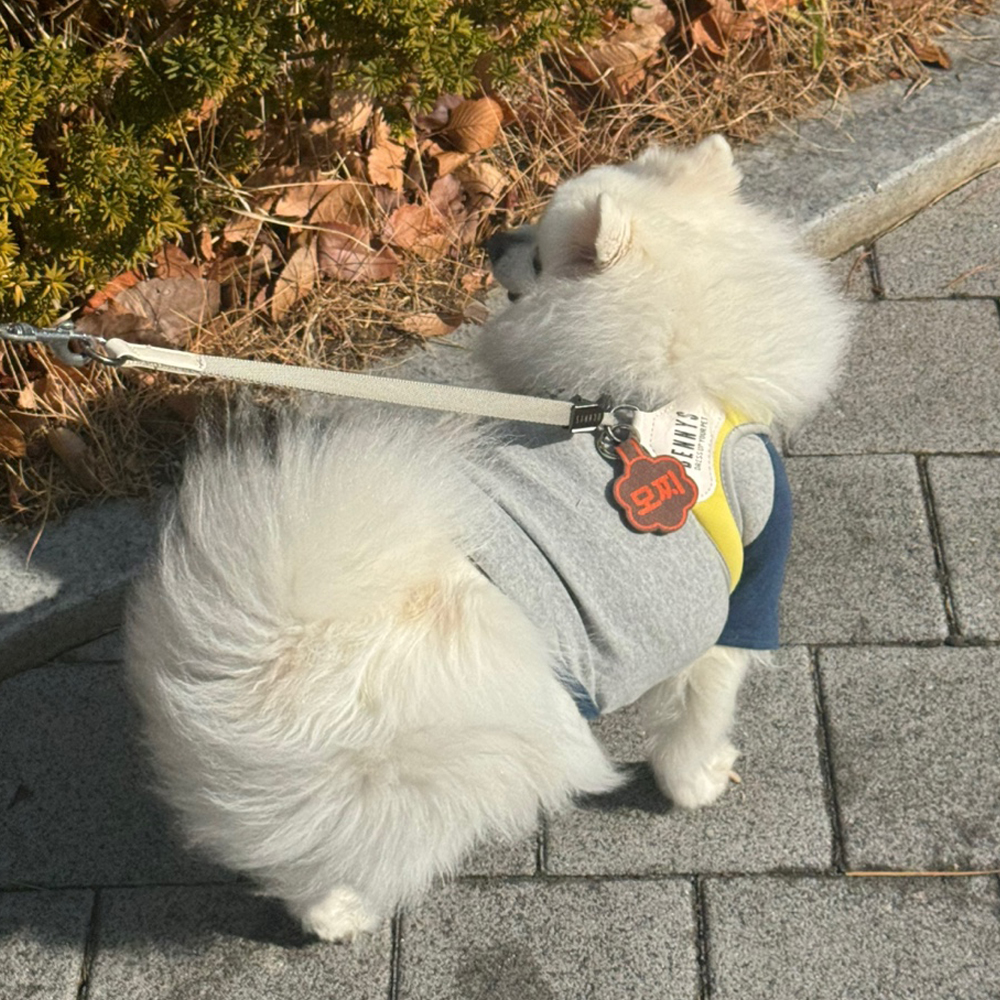 (소형)강아지 네임택 강아지 인식표 전사네임택 이름표 반려견 명찰 꽃형 - 상세 이미지 5