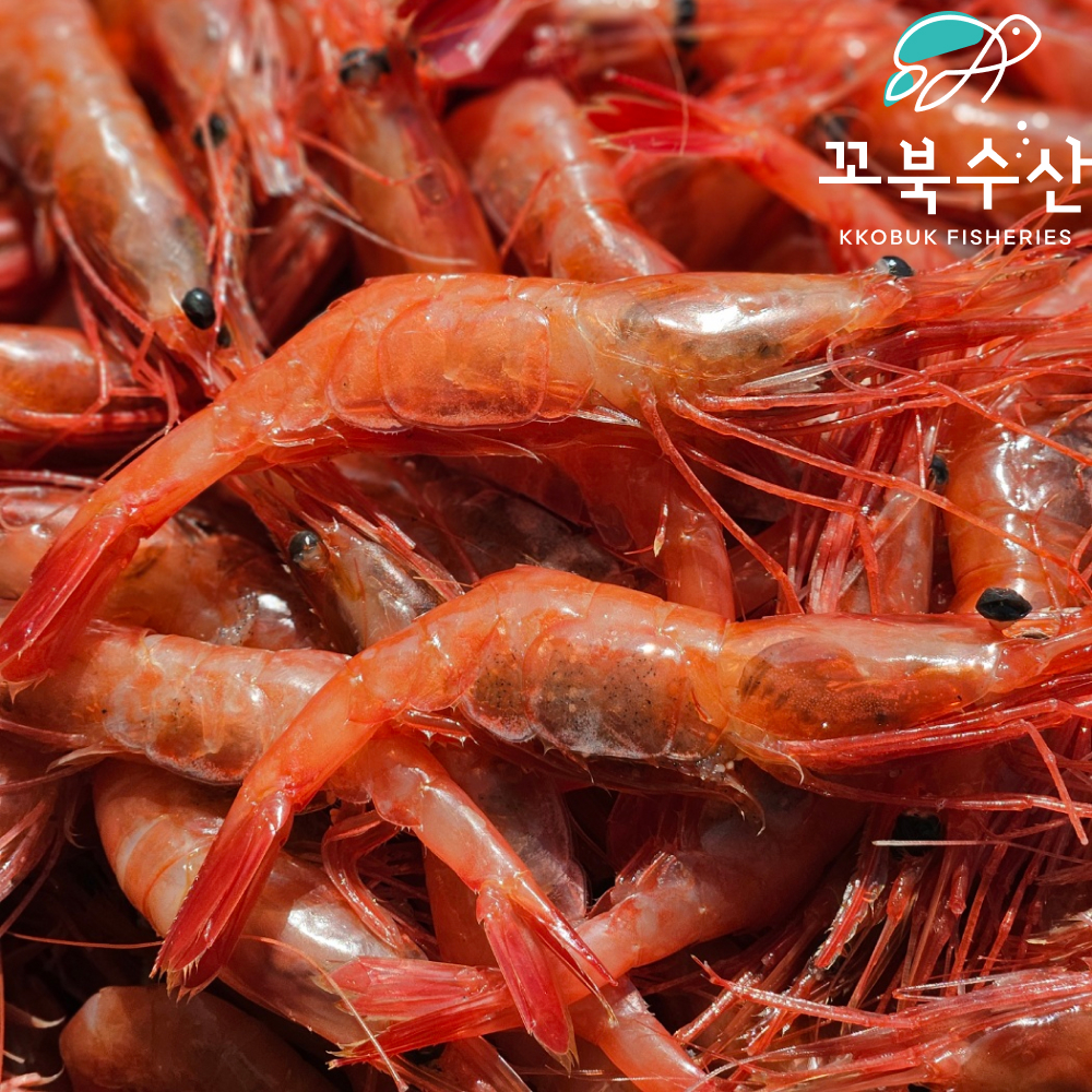국내산 단새우 회 아마애비 홍새우 500g - 상품 이미지