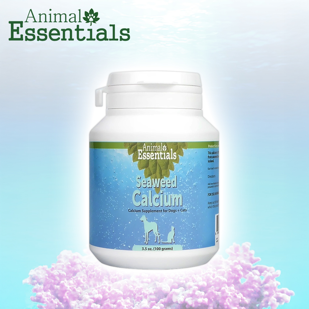 강아지 칼슘 마그네슘 영양제 관절 슬개골 미네랄 보충제 애견 반려견 무릎 뼈 연골 칼슘제 이미지 3