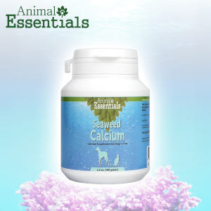 강아지 칼슘 마그네슘 영양제 관절 슬개골 미네랄 보충제 애견 반려견 무릎... 솔직 후기 | 실제 사용자 리뷰 총정리 - 상품 이미지 3