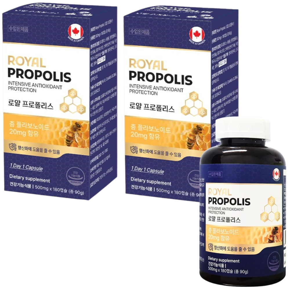 캐나다 직수입 로얄 프로폴리스 180캡슐 2병 12개월 플라보노이드 20mg 면역 효능 - 메인 이미지