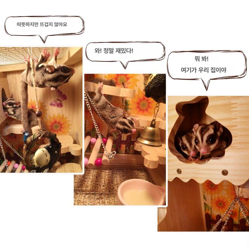 슈가글라이더 햄스터 다람쥐 전용케이지 꿀 집 햄스터집 하우스 뾰족형 기이한 숲 케이지 - 상세 이미지 5