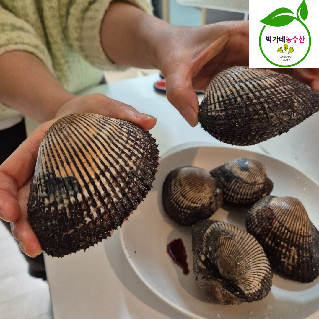 제철 피꼬막 새꼬막 3kg (45-60미내외) 피조개 벌교 이미지 7