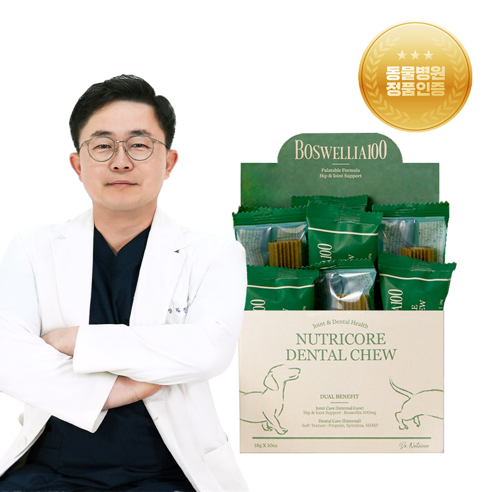 닥터뉴트리코어 보스웰리아100 관절에좋은 강아지 개 애견 치석제거 덴탈 양치 껌 10개입 (180g)